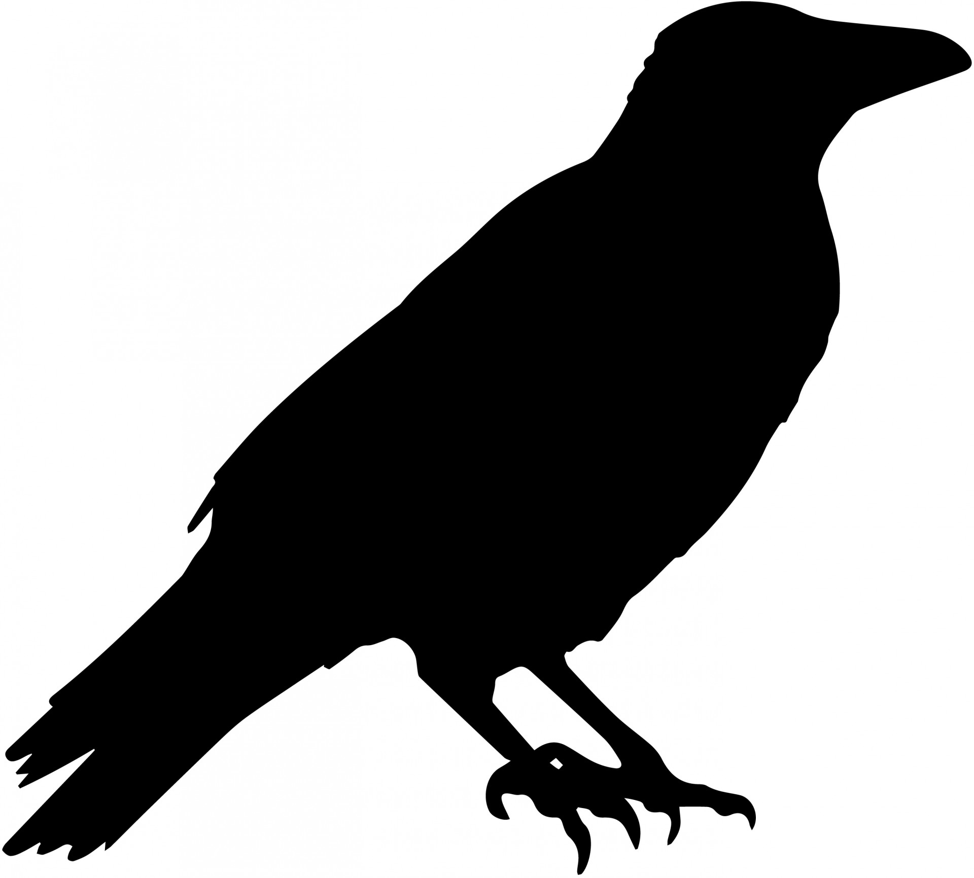 Raven PNG Public Domain - 71835