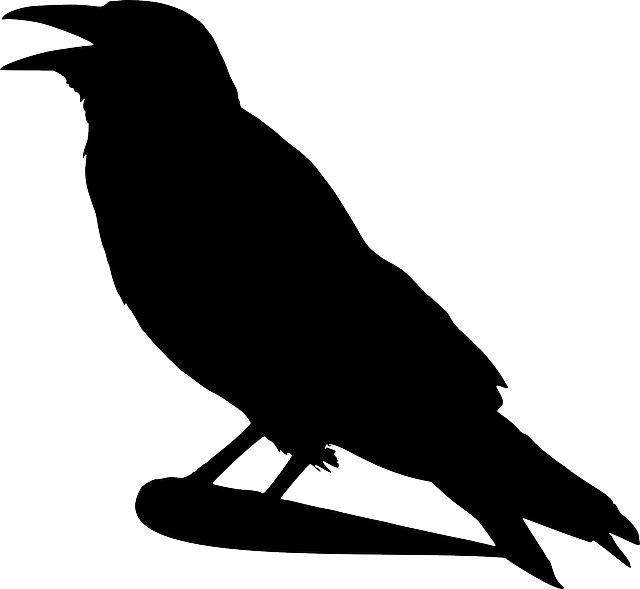 Raven PNG Public Domain - 71833