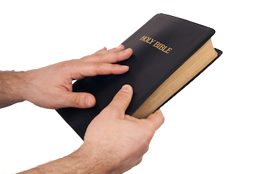 Reading Bible PNG - 136431