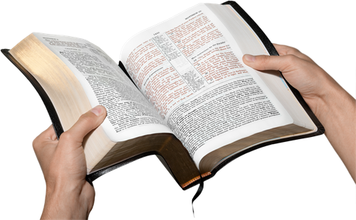 How to Read the Bible Theolog