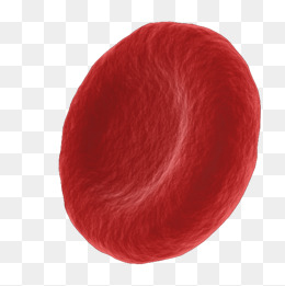 Red Blood Cell PNG - 141287