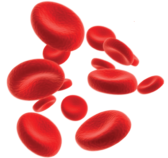 Red Blood Cell PNG - 141286