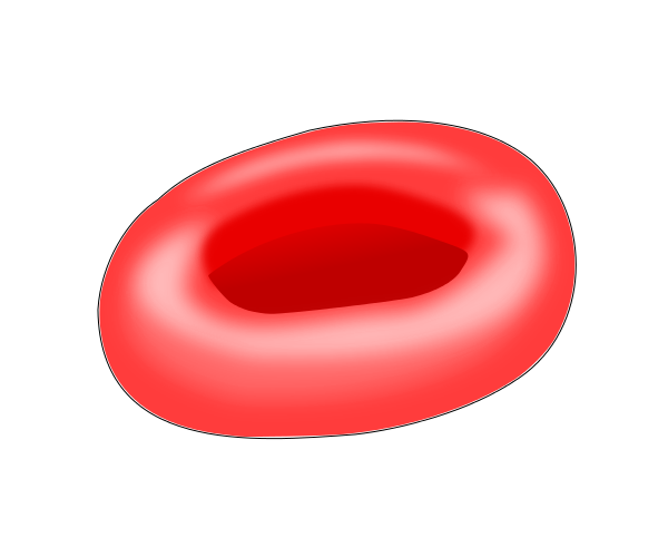 Red Blood Cell PNG - 141288