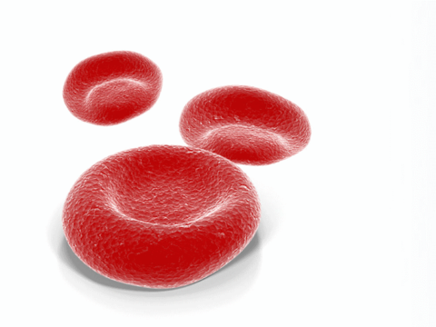 Red Blood Cell PNG - 141302