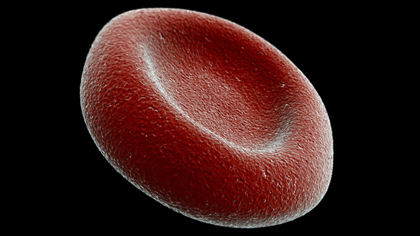 Red Blood Cell PNG - 141300