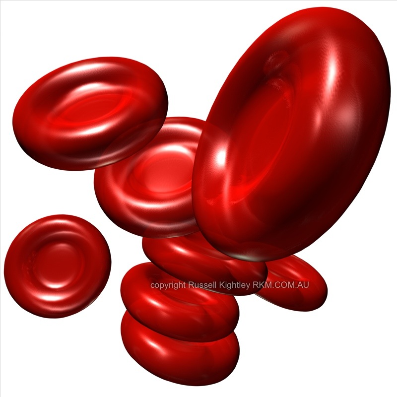 Red Blood Cell PNG - 141301
