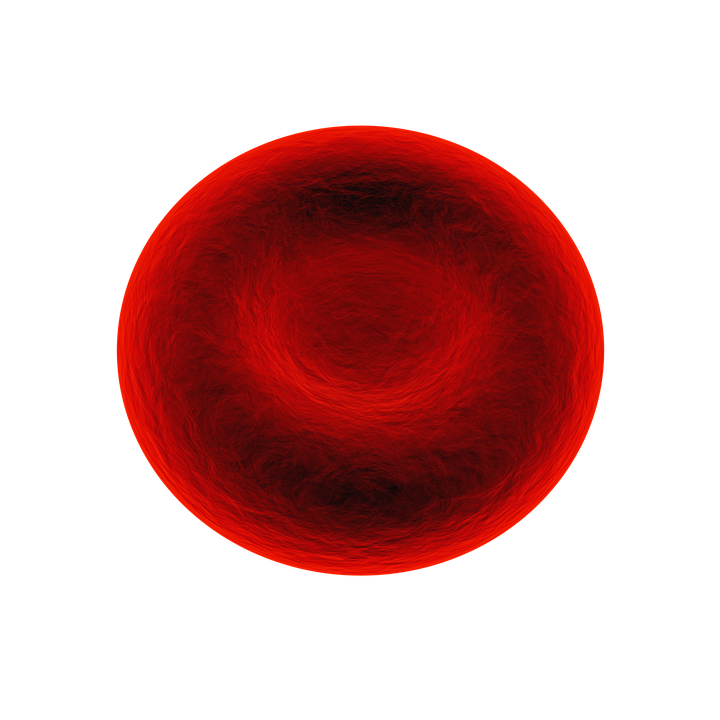 Red Blood Cell PNG - 141296