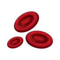 Red Blood Cell PNG - 141298