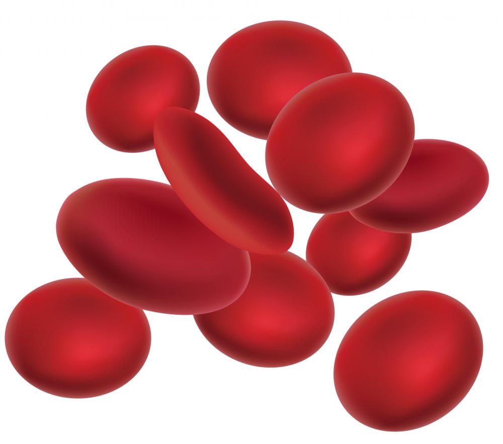Red Blood Cell PNG - 141303