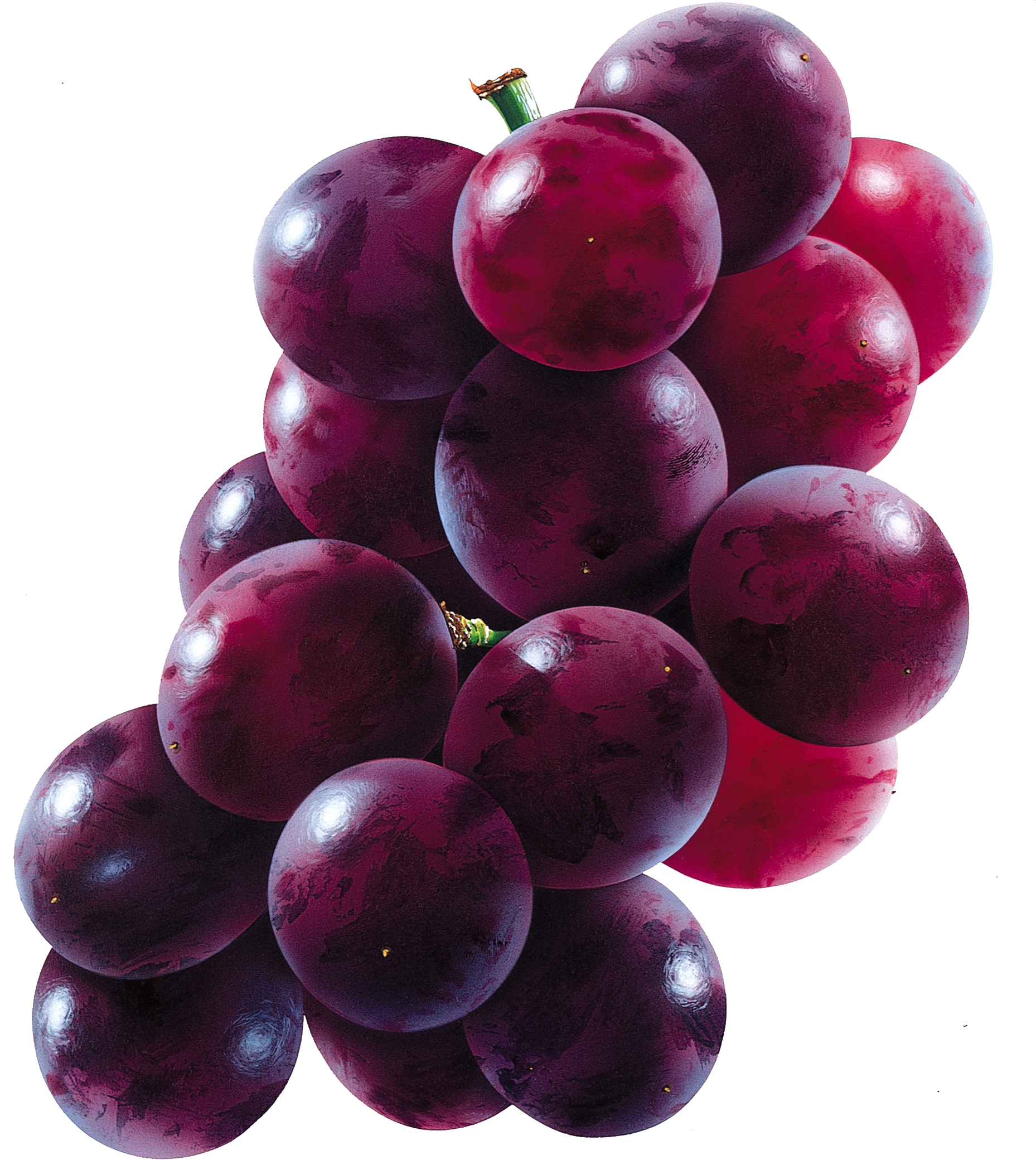 Grape PNG image download, fre