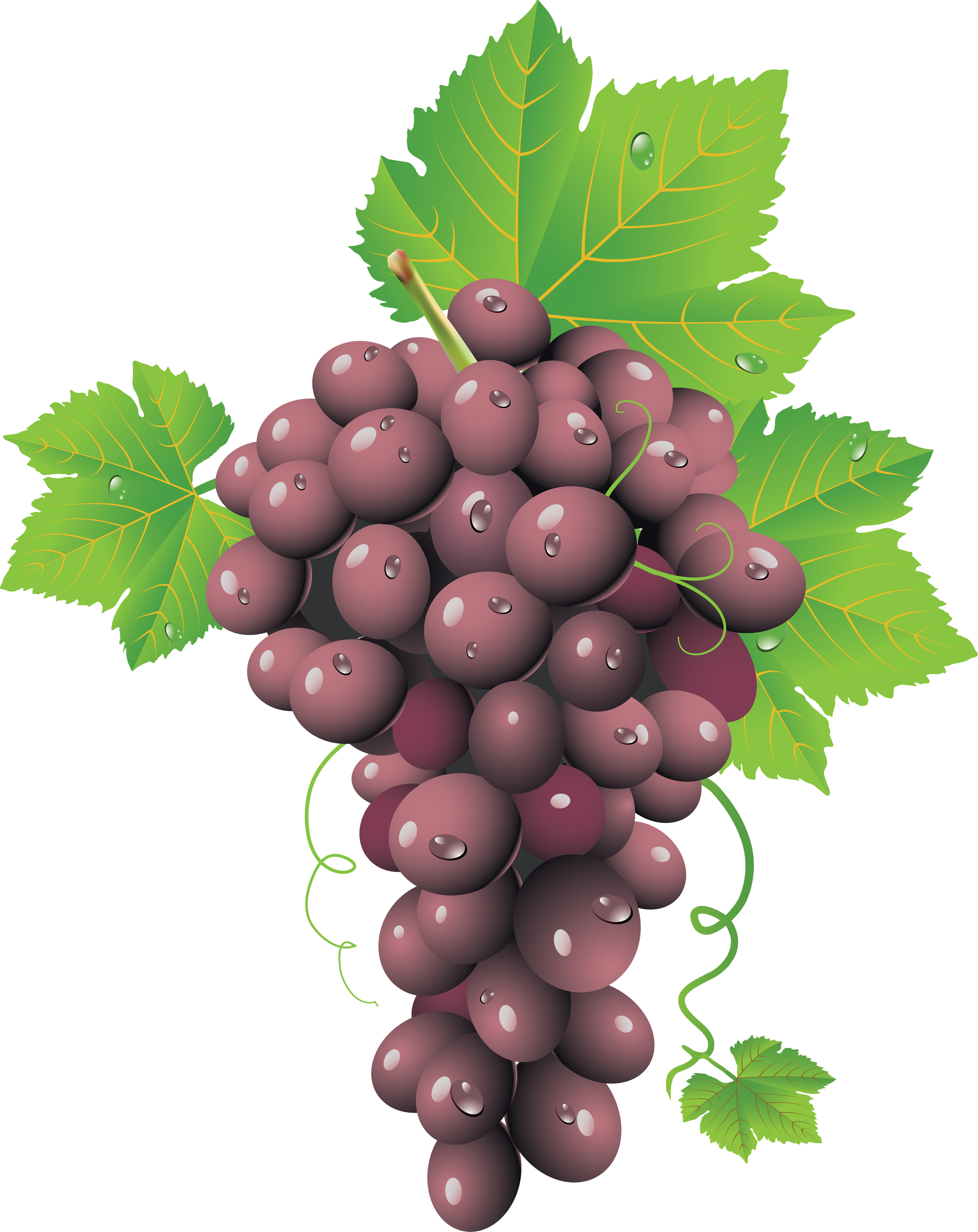 Grape PNG - 5229