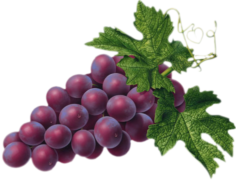 Grape PNG - 5231