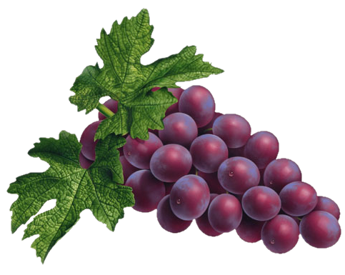 Red Grape PNG Picture