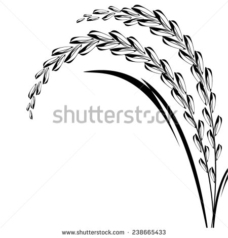 Rice Paddy PNG Black And White - 169603