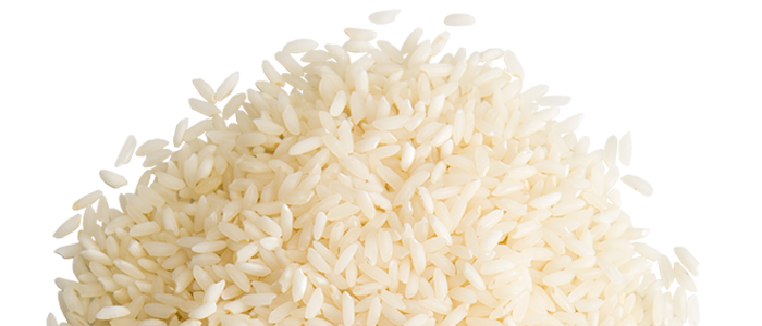 Rice PNG - 27036