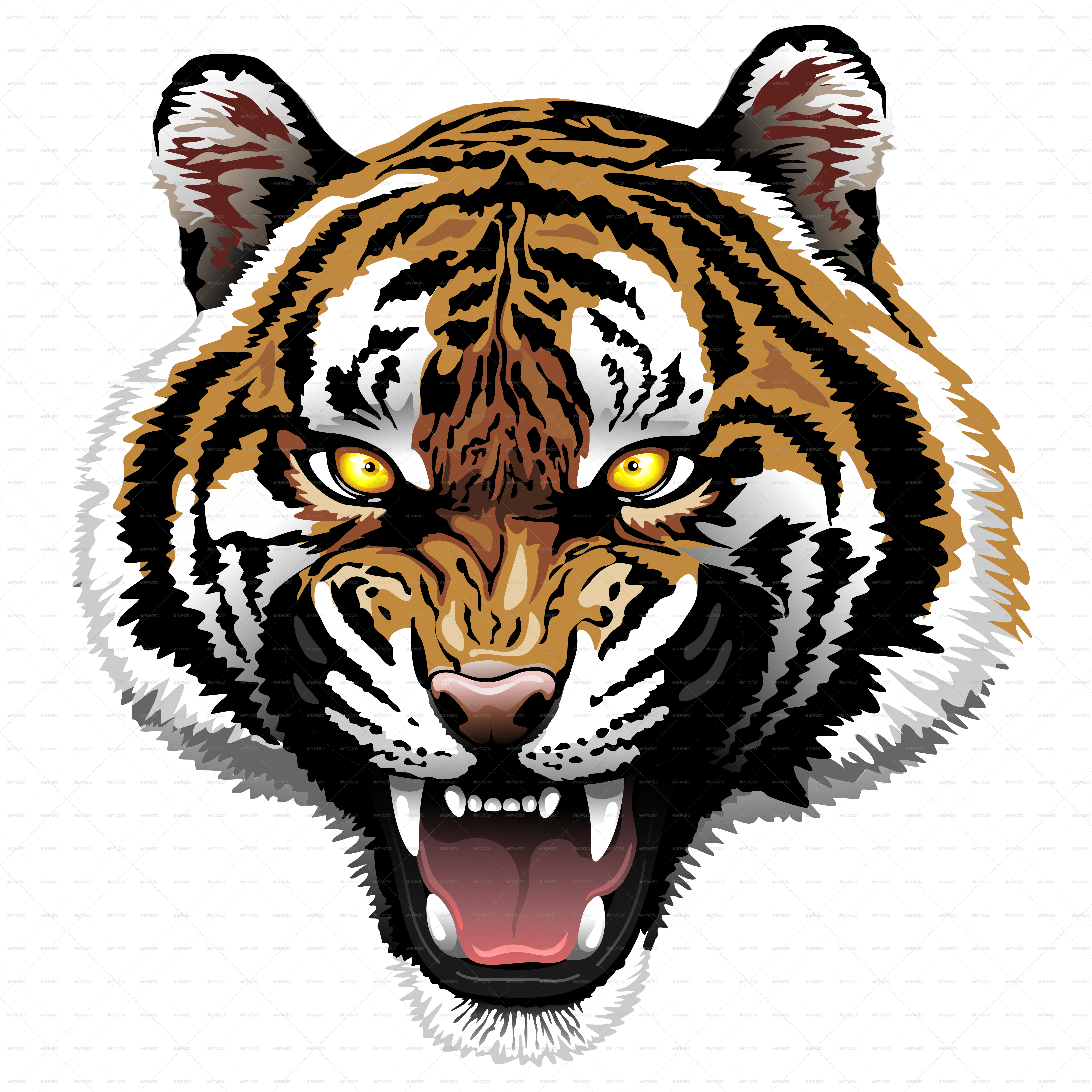 . PlusPng.com Tiger Roar-PNG 