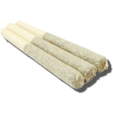 Animal Cookies Pre Rolled Joi
