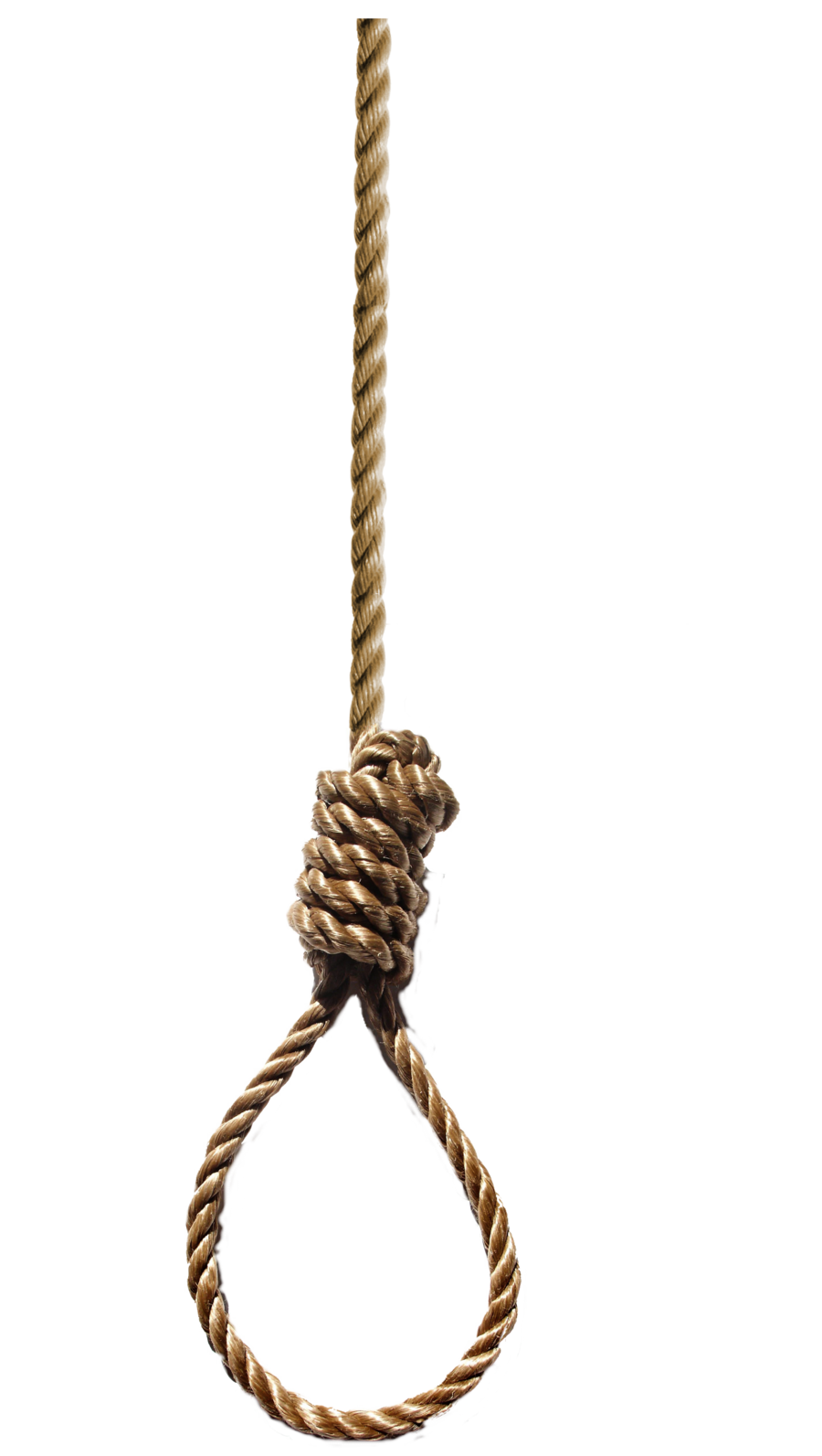 Rope HD PNG - 119042