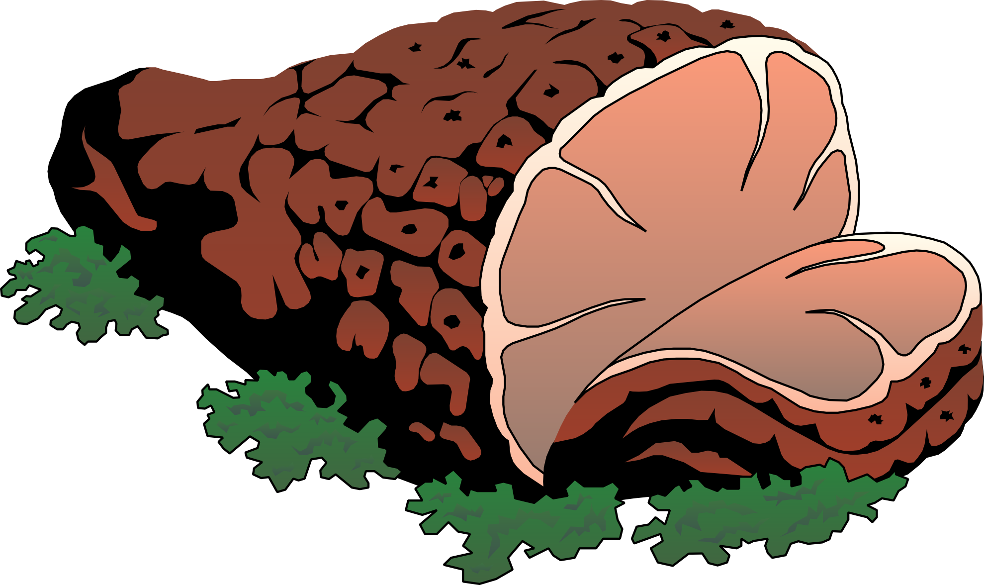 Rotten Meat PNG - 71076