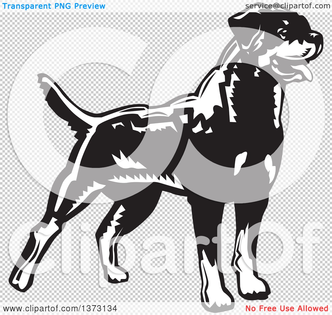 Rottweiler PNG Black And White - 71152