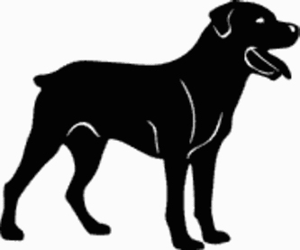 Rottweiler PNG Black And White - 71159