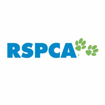 Cat Dog Rspca Royal Society F