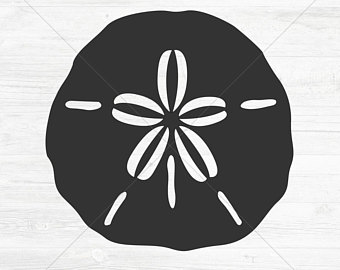 Sand Dollar PNG Black And White - 163129