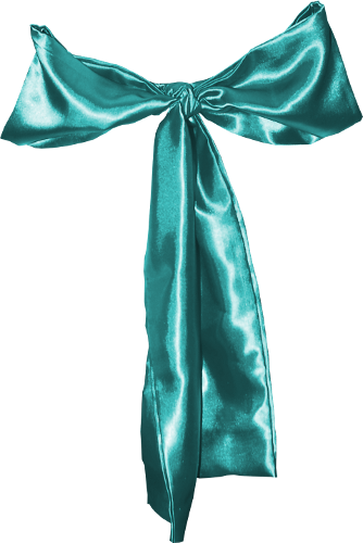 Green Satin Bow (1) PNG by cl