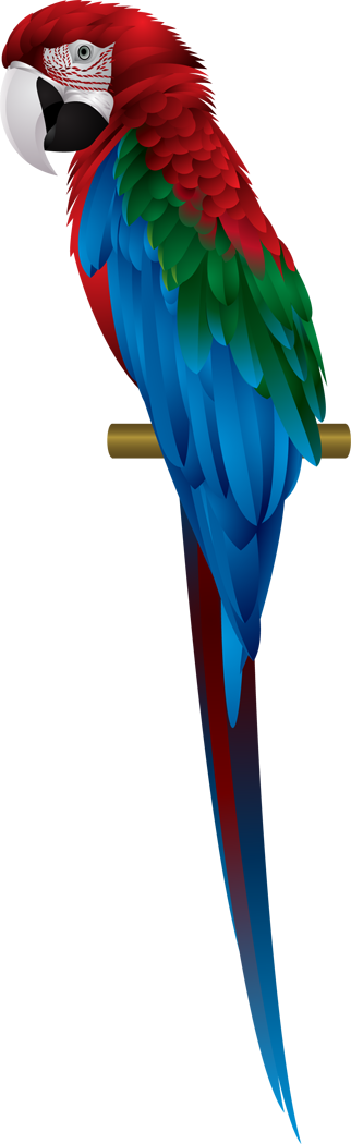Macaw PNG - 5249