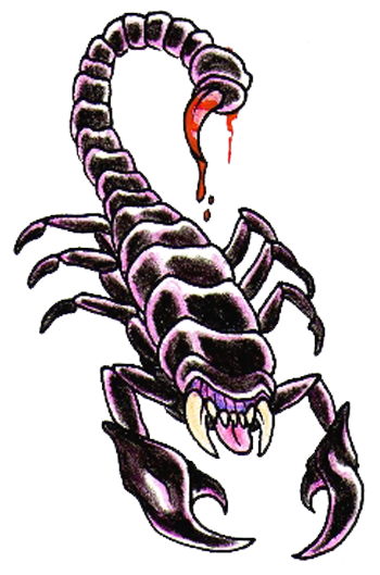 Scorpion Tattoos PNG - 10764