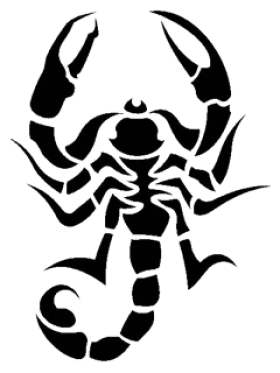 Scorpion Tattoos Png Picture 