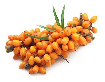 Used topically, sea buckthorn