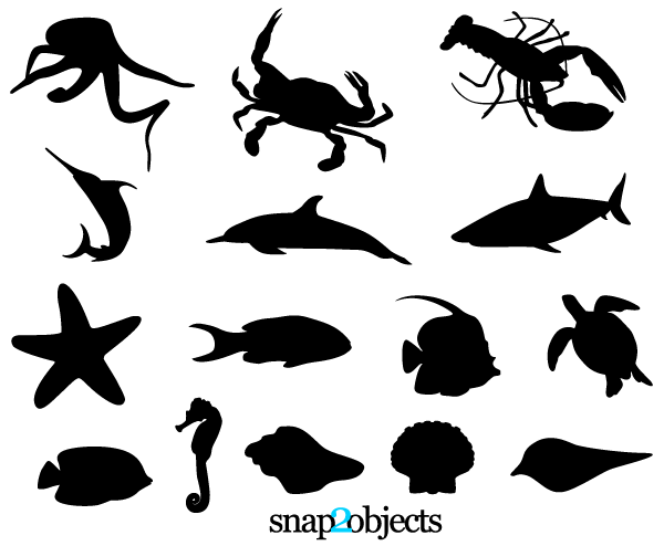 Sea Life PNG Black And White - 144511