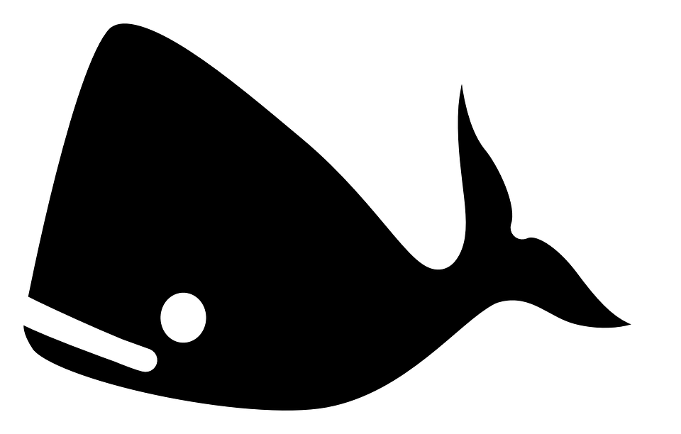 Sea Life PNG Black And White - 144499