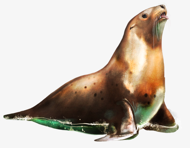 sea lion 3d model low-poly ob