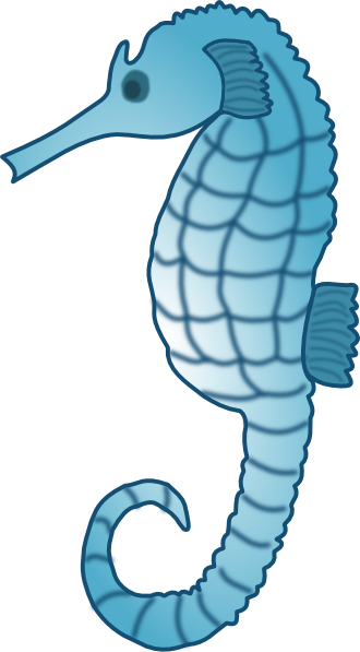 Seahorse PNG - 19994