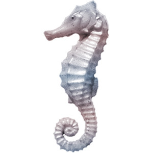 Seahorse PNG - 19995