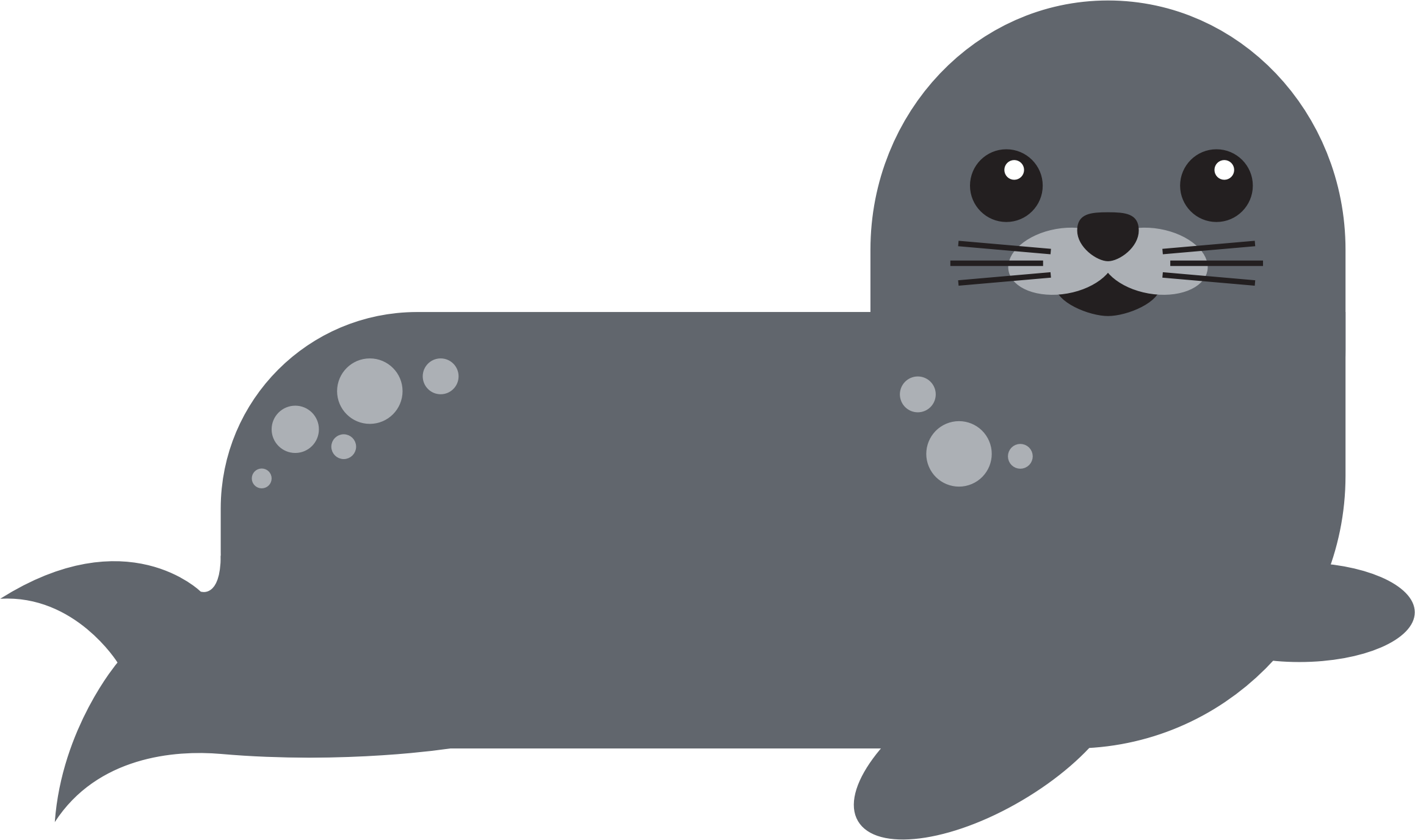 Seal Animal PNG - 167871