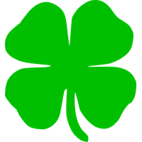 Shamrock Clover PNG Picture