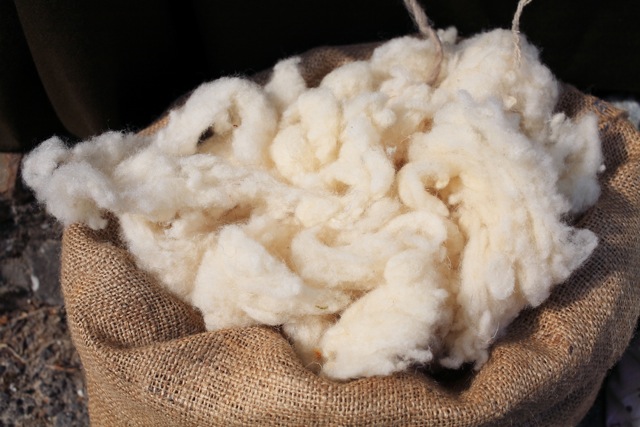 Our 100% sheep wool insulatio
