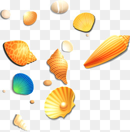 Shell HD PNG - 119362