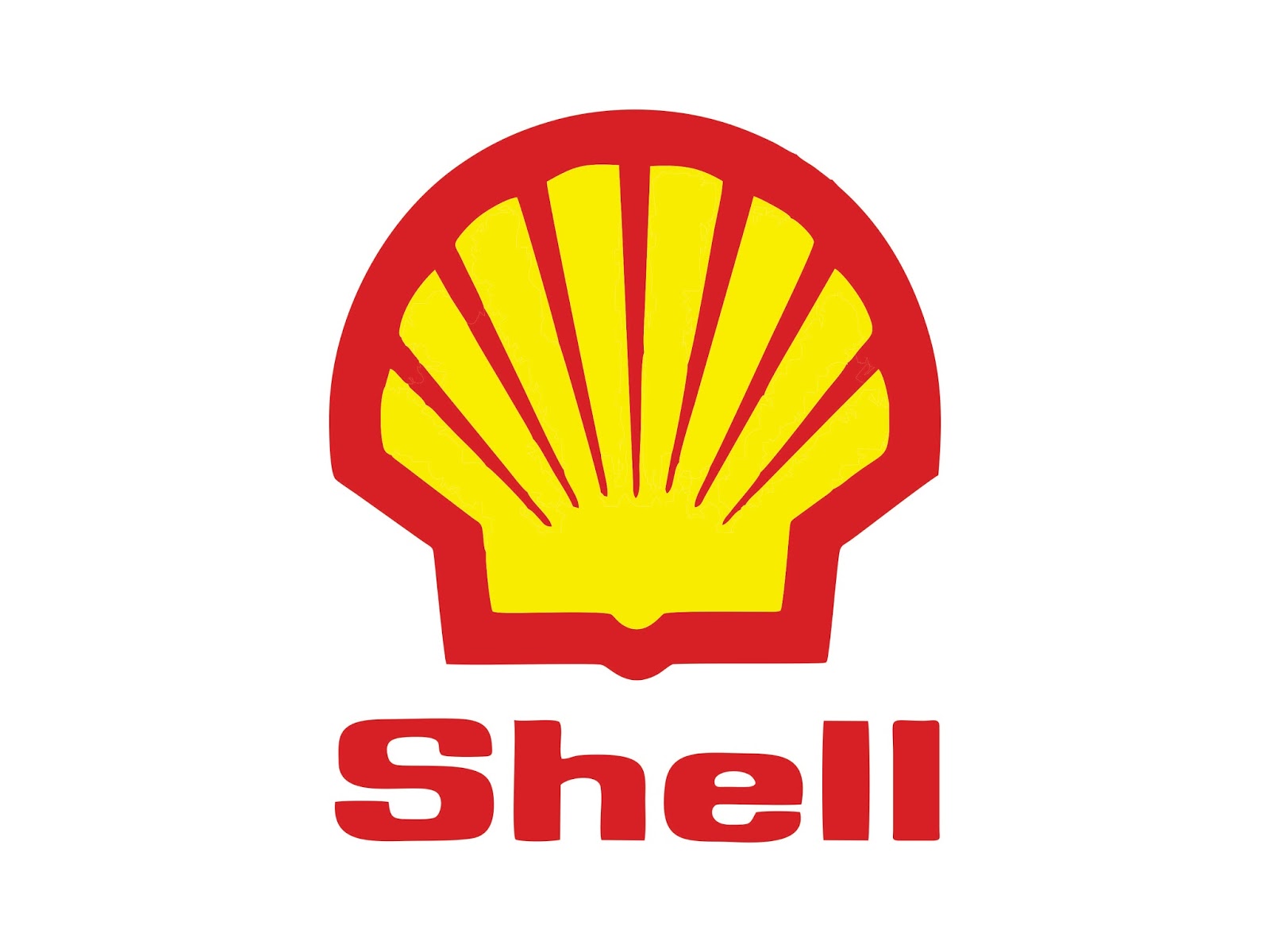 Shell HD PNG - 119361