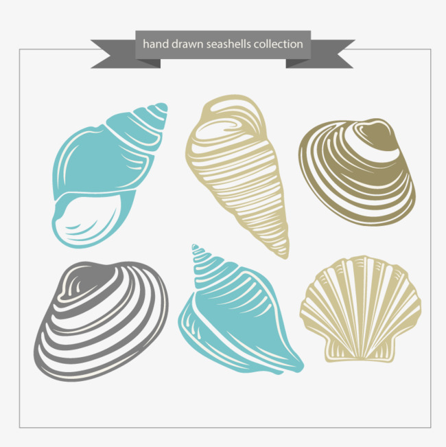 Shell HD PNG - 119368