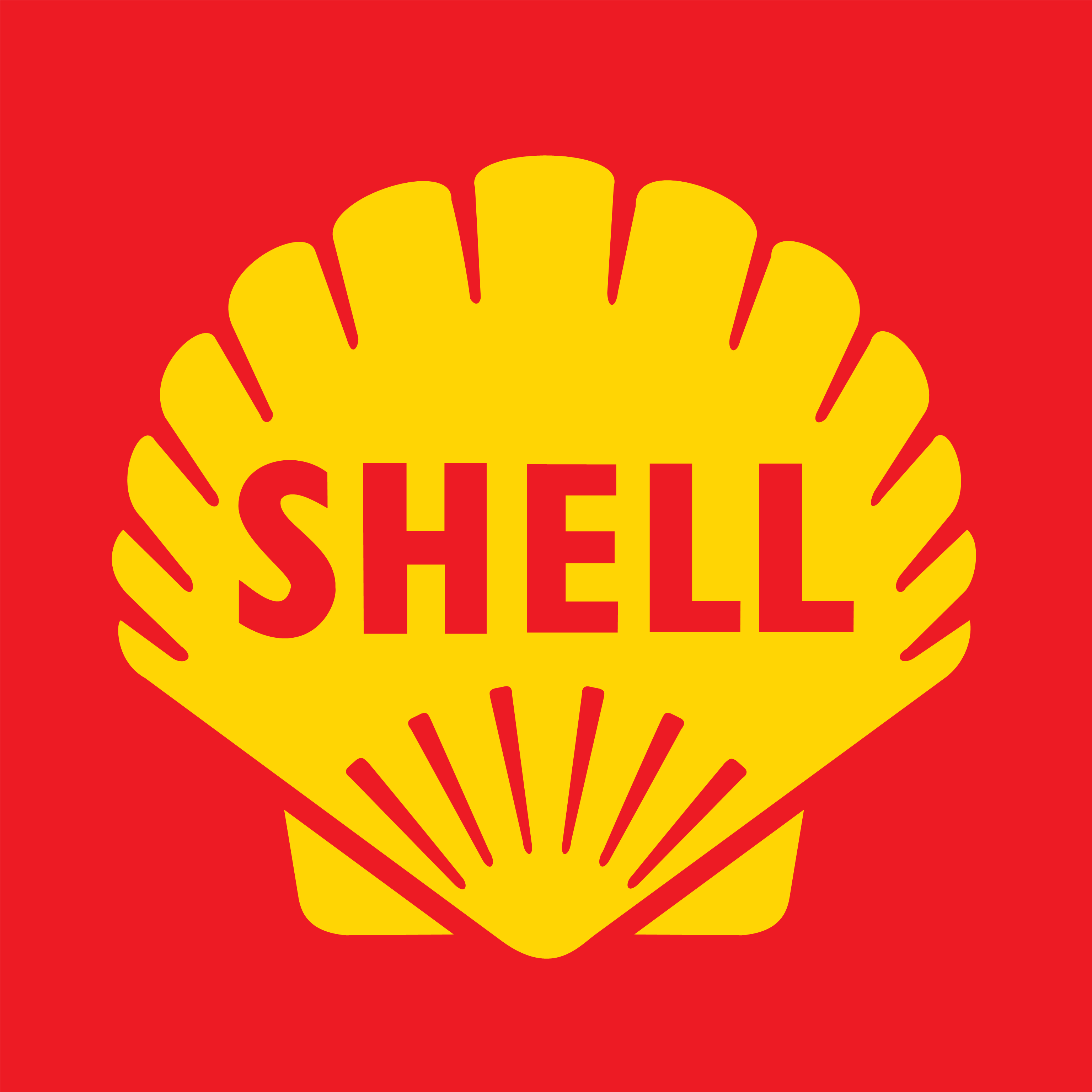 Shell HD PNG - 119370
