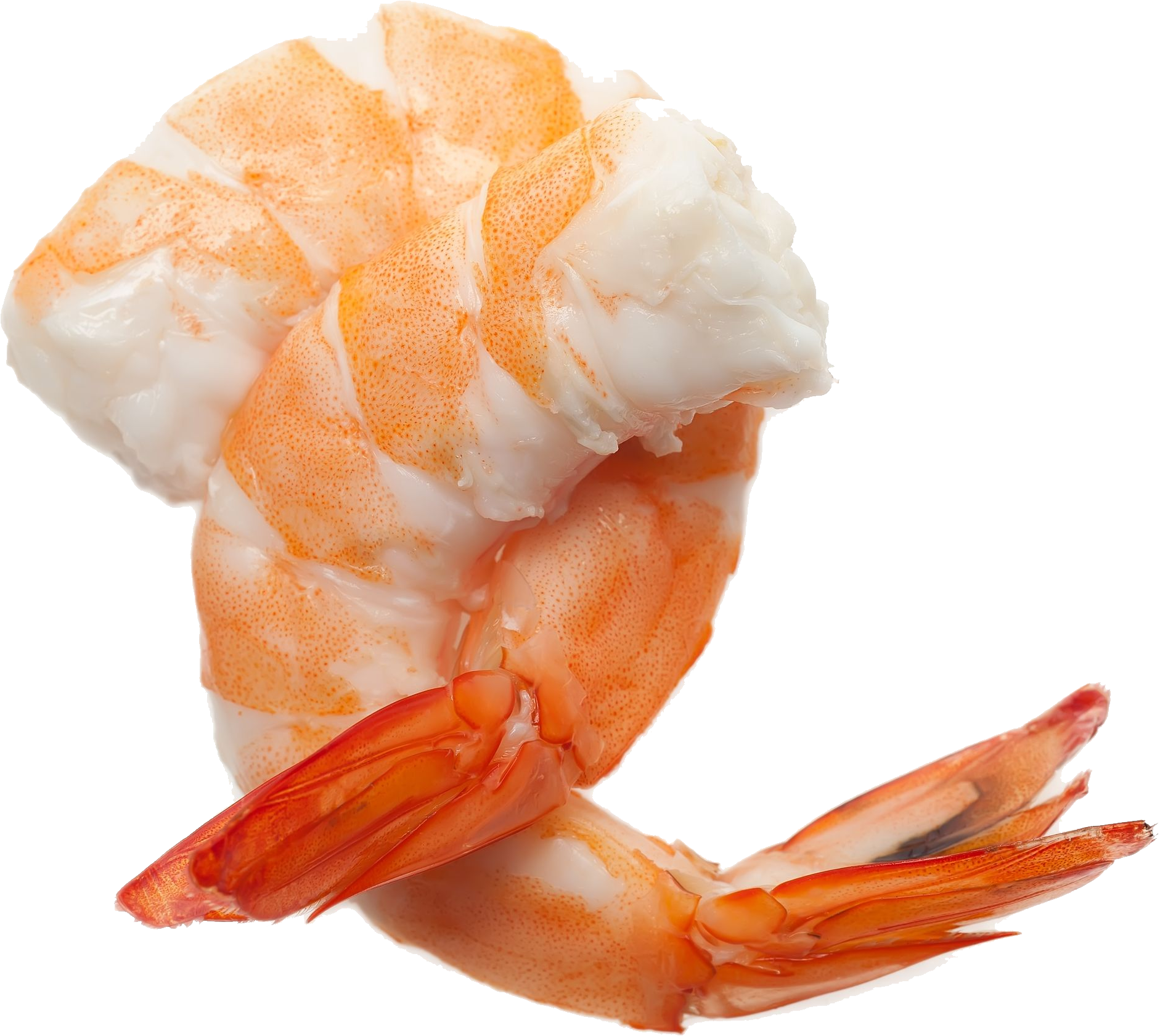 Shrimp/prawn