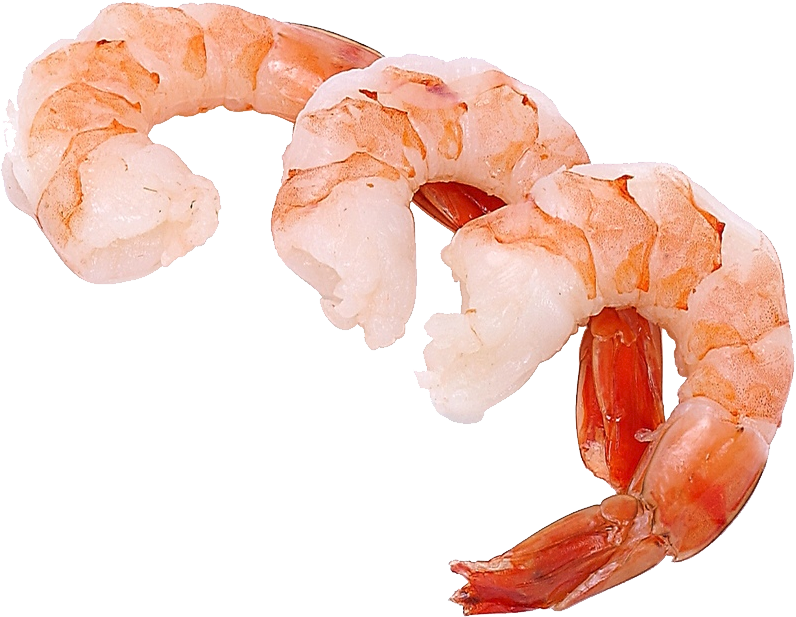 Shrimp HD PNG - 93373
