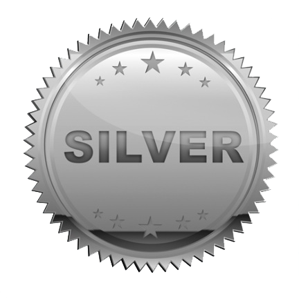 Silver bullion PNG