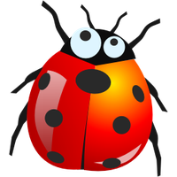 Similar Bugs PNG Image