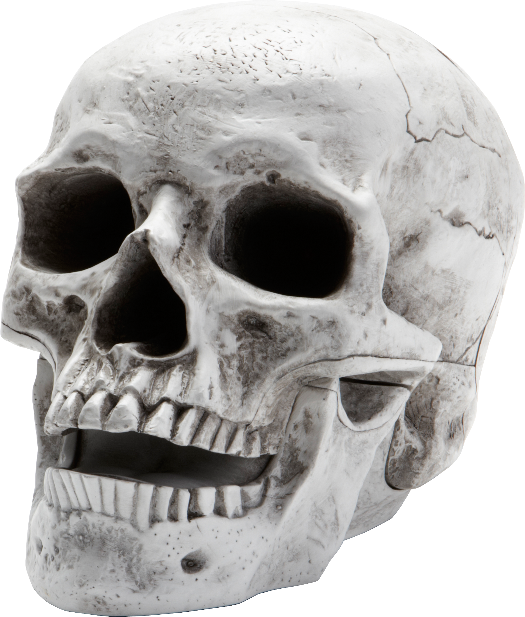 Skeleton Head PNG - 2001