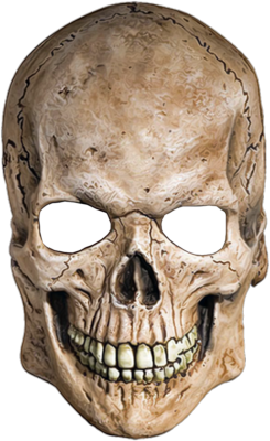 Skeleton Head PNG - 2002